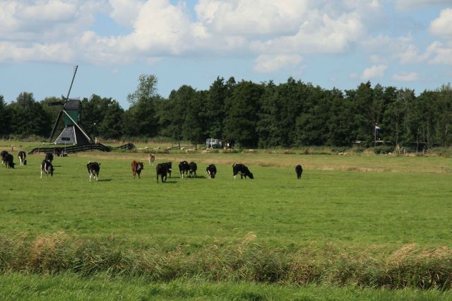 2009-08-Holandsko > obr (37)